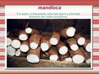 mandioca É o aipim, a macaxeira, uma raiz que é o principal  alimento dos índios brasileiros.  