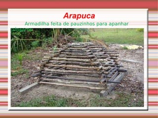 Arapuca Armadilha feita de pauzinhos para apanhar pássaros 
