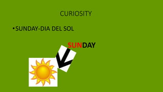 CURIOSITY
•SUNDAY-DIA DEL SOL
SUNDAY
 