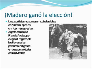 ¡ Madero gan ó la elección! Los zapatistas no apoyaron todas las ideas de Madero, quer ían  un líder más agresivo Zapata escribió el Plan de Ayala que exigió el regreso de las tierras a las personas indígenas; empezaron a rebelar contra Madero 