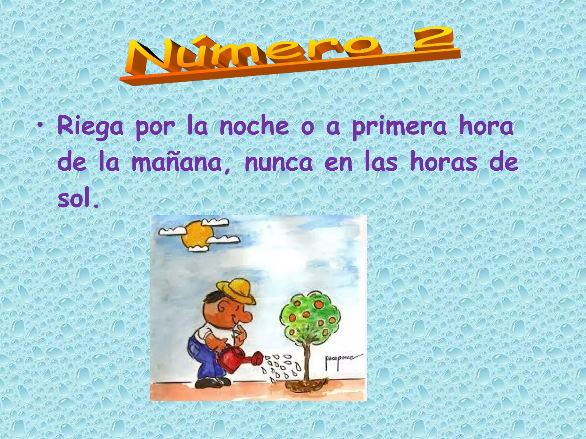 • Riega por la noche o a primera hora
de la mañana, nunca en las horas de
sol.
