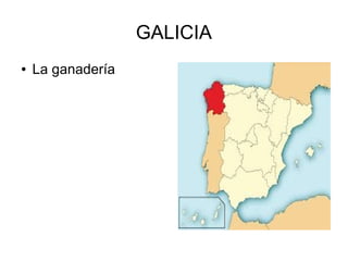 GALICIA
● La ganadería
 