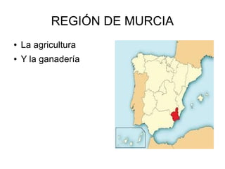 REGIÓN DE MURCIA
● La agricultura
● Y la ganadería
 