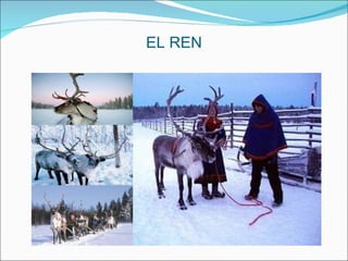 EL REN 