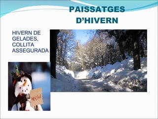 PAISSATGES D’HIVERN HIVERN DE GELADES, COLLITA ASSEGURADA 