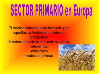El sector primario esta formado por
    aquellas actividades a obtener
              productos
directamente de la naturale...
