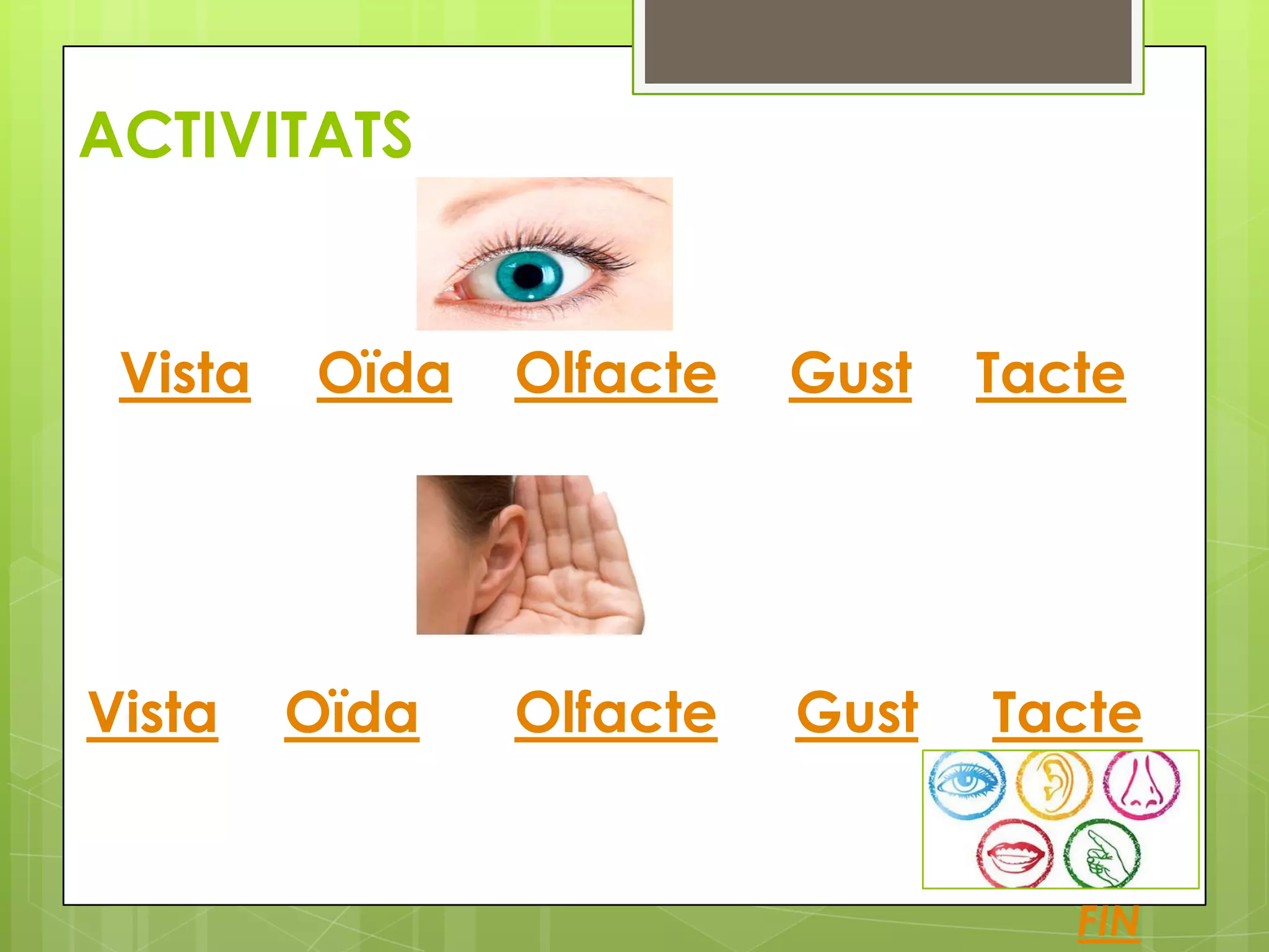 ACTIVITATS

Vista

Vista

Oïda

Oïda

Olfacte

Gust

Tacte

Olfacte

Gust

Tacte

FIN

 