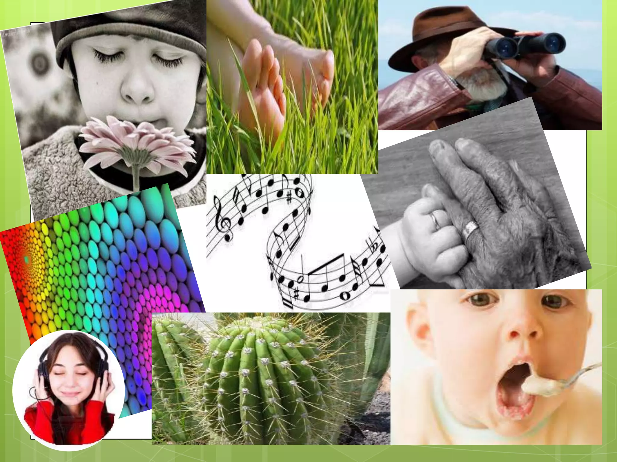 Power point dels sentits