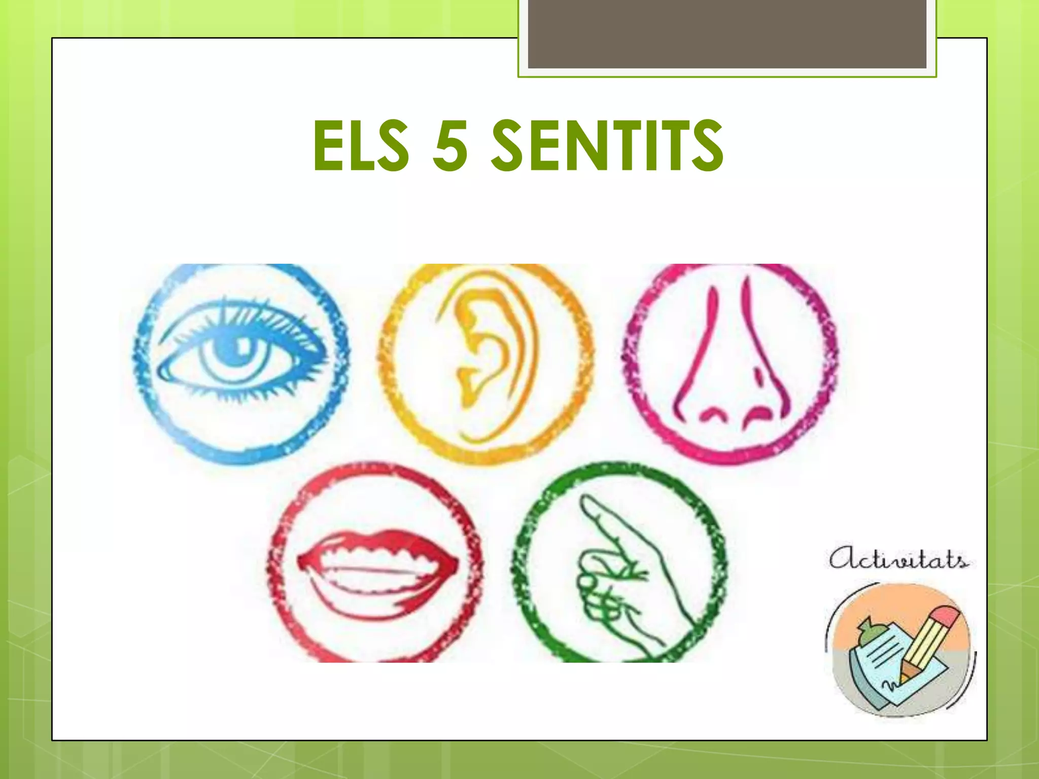ELS 5 SENTITS

 