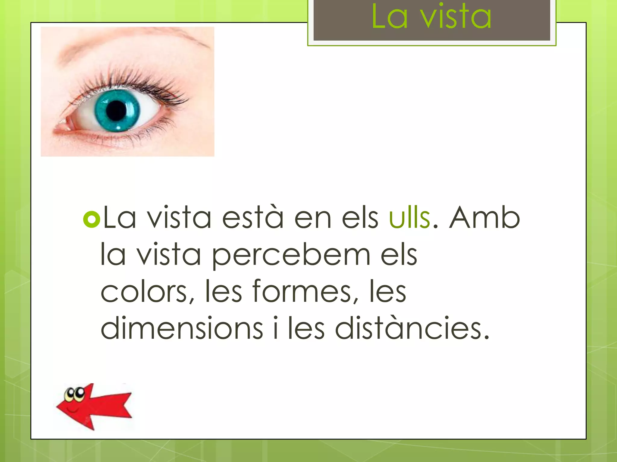 La vista

La

vista està en els ulls. Amb
la vista percebem els
colors, les formes, les
dimensions i les distàncies.

 