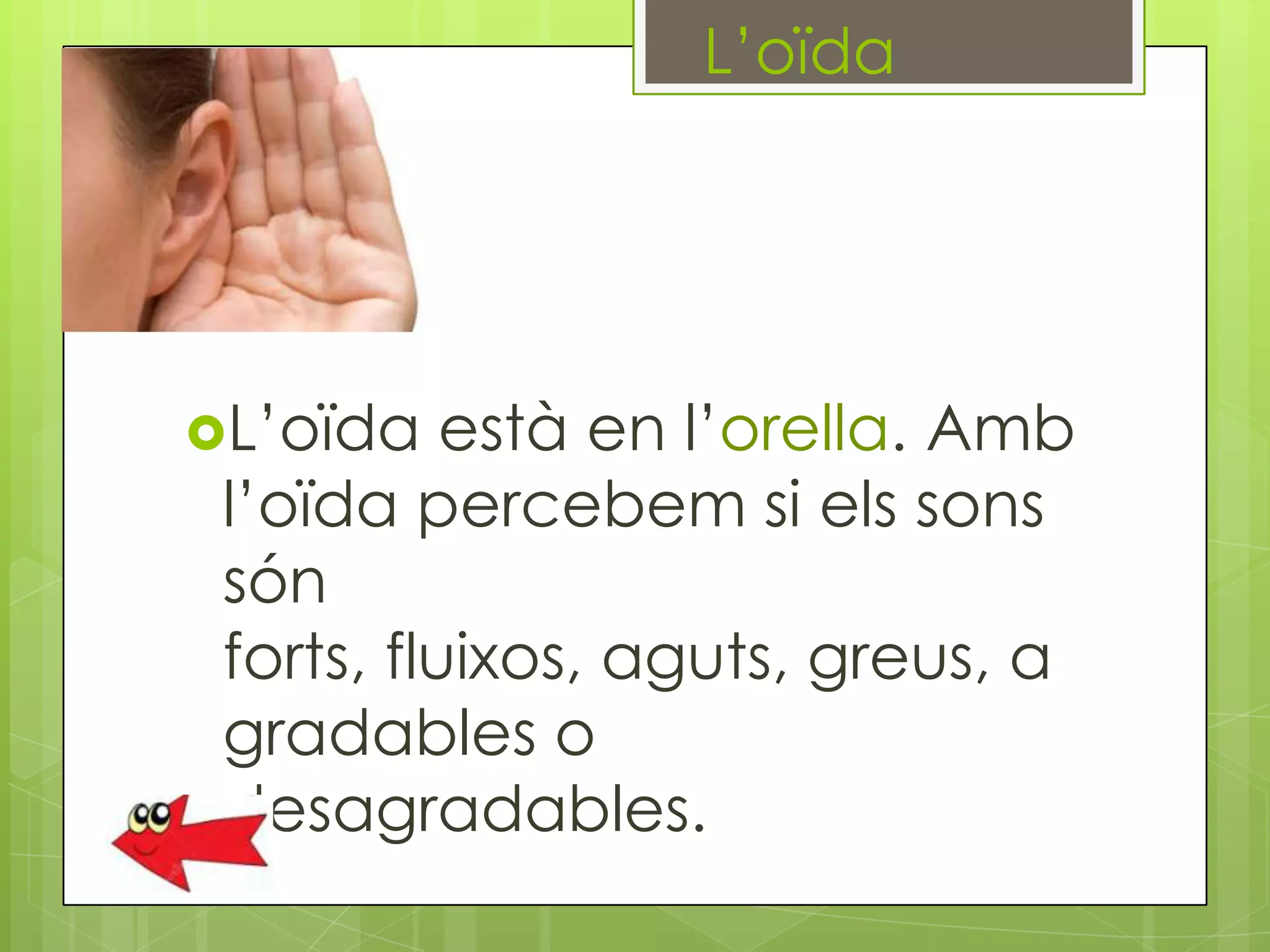 L’oïda

L’oïda

està en l’orella. Amb
l’oïda percebem si els sons
són
forts, fluixos, aguts, greus, a
gradables o
desagradables.

 