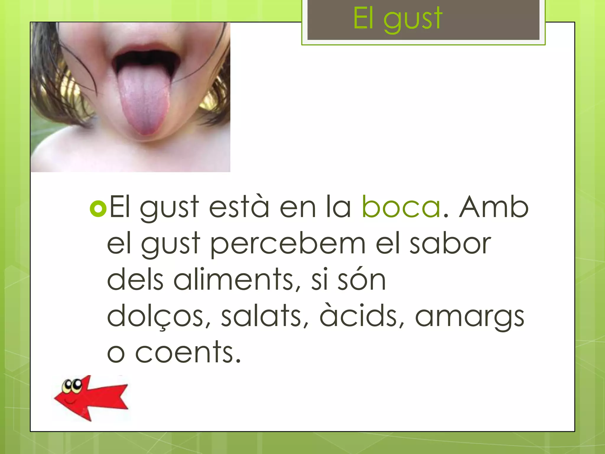 El gust

El

gust està en la boca. Amb
el gust percebem el sabor
dels aliments, si són
dolços, salats, àcids, amargs
o coents.

 