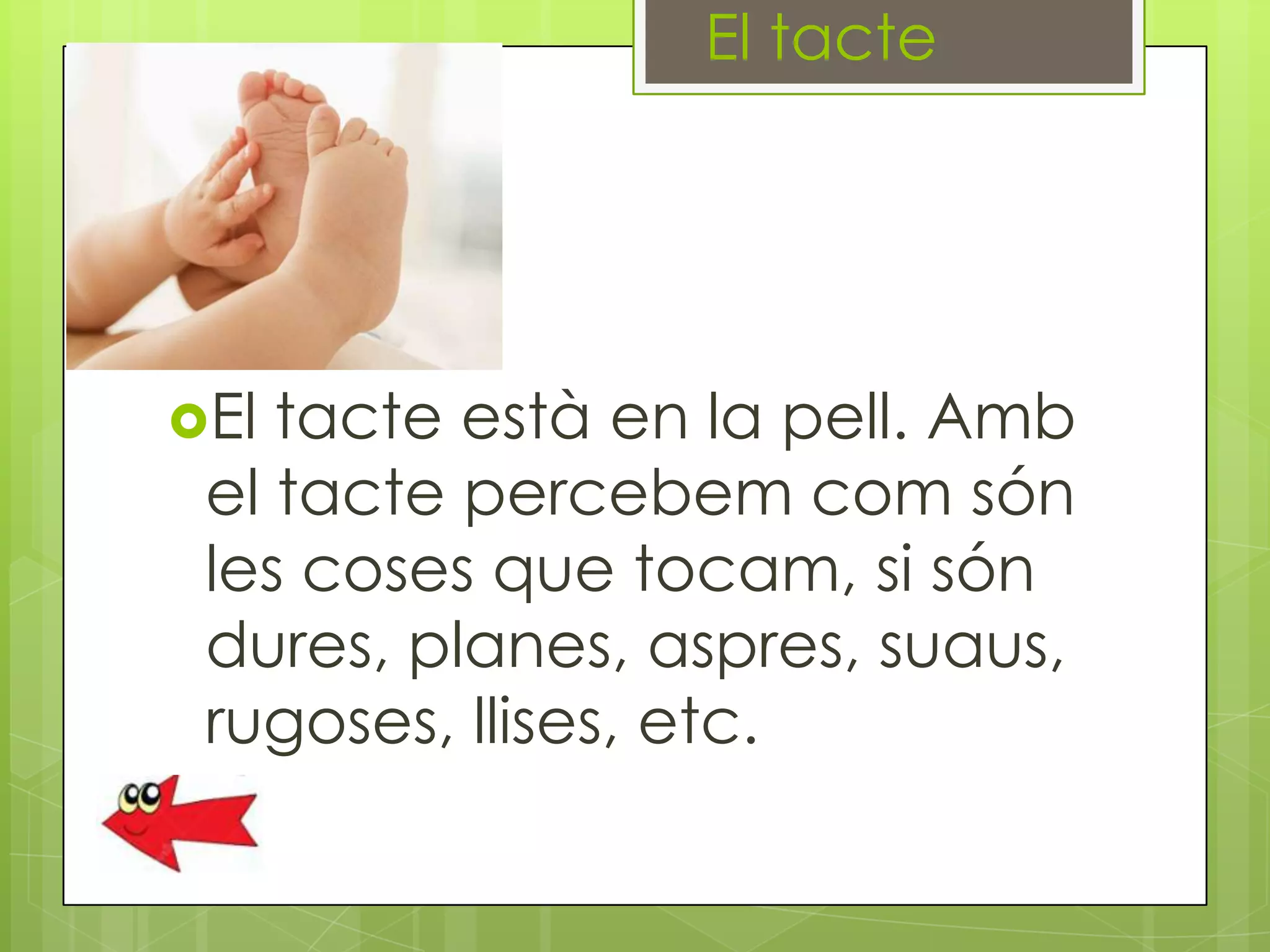 El tacte

El

tacte està en la pell. Amb
el tacte percebem com són
les coses que tocam, si són
dures, planes, aspres, suaus,
rugoses, llises, etc.

 