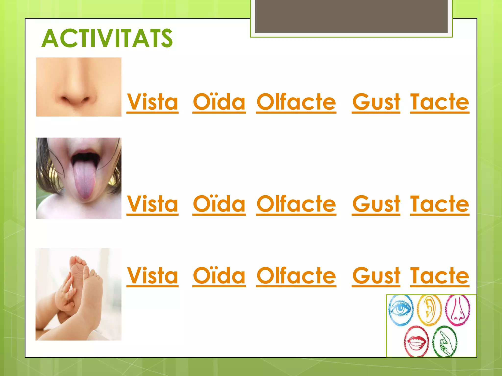 ACTIVITATS
Vista Oïda Olfacte Gust Tacte

Vista Oïda Olfacte Gust Tacte
Vista Oïda Olfacte Gust Tacte

 