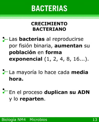 Power point de microorganismos