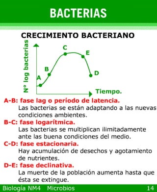 Power point de microorganismos