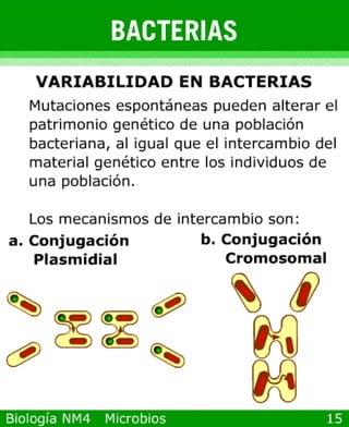 Power point de microorganismos