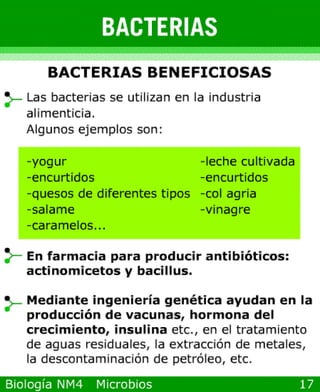 Power point de microorganismos