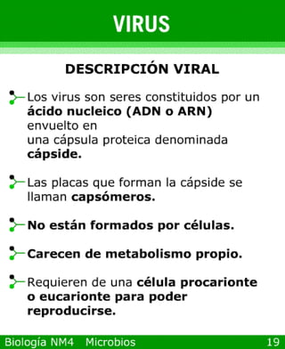 Power point de microorganismos