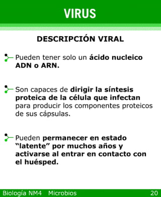 Power point de microorganismos