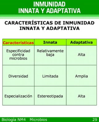 Power point de microorganismos