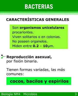 Power point de microorganismos