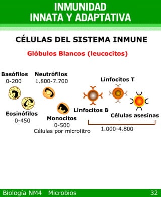 Power point de microorganismos