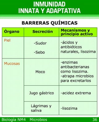 Power point de microorganismos