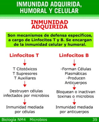 Power point de microorganismos