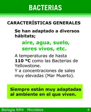 Power point de microorganismos