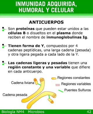 Power point de microorganismos