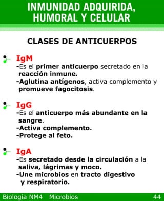 Power point de microorganismos