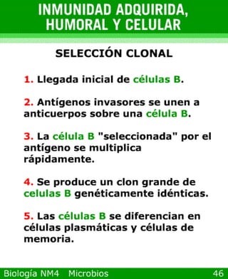 Power point de microorganismos