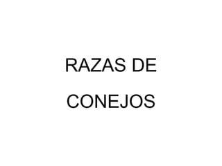 RAZAS DE CONEJOS 