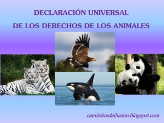 DECLARACIÓN UNIVERSAL
DE LOS DERECHOS DE LOS ANIMALES
caminitosdeilusion.blogspot.com
 