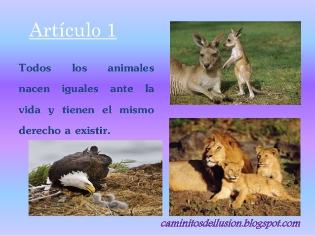 Declaración Universal de los Derechos de los Animales