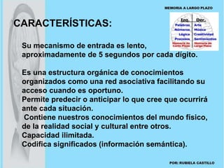 CARACTERÍSTICAS: 
Su mecanismo de entrada es lento, 
aproximadamente de 5 segundos por cada dígito. 
Es una estructura orgánica de conocimientos 
organizados como una red asociativa facilitando su 
acceso cuando es oportuno. 
Permite predecir o anticipar lo que cree que ocurrirá 
ante cada situación. 
Contiene nuestros conocimientos del mundo físico, 
de la realidad social y cultural entre otros. 
Capacidad ilimitada. 
Codifica significados (información semántica). 
 
