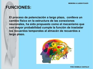 FUNCIONES: 
El proceso de potenciación a largo plazo, conlleva un 
cambio físico en la estructura de las conexiones 
neuronales, ha sido propuesto como el mecanismo que 
con mayor probabilidad cumple la función de trasladar 
los recuerdos temporales al almacén de recuerdos a 
largo plazo. 
 