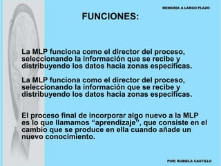 FUNCIONES: 
La MLP funciona como el director del proceso, 
seleccionando la información que se recibe y 
distribuyendo los datos hacia zonas específicas. 
La MLP funciona como el director del proceso, 
seleccionando la información que se recibe y 
distribuyendo los datos hacia zonas específicas. 
El proceso final de incorporar algo nuevo a la MLP 
es lo que llamamos “aprendizaje”, que consiste en el 
cambio que se produce en ella cuando añade un 
nuevo conocimiento. 
 