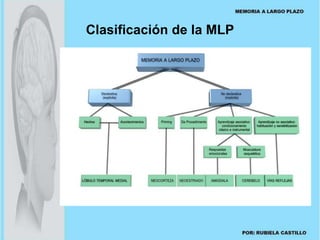 Clasificación de la MLP 
 