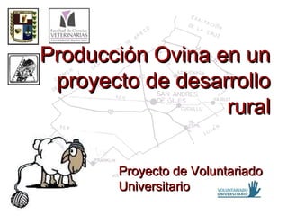 Producción Ovina en unProducción Ovina en un
proyecto de desarrolloproyecto de desarrollo
ruralrural
Proyecto de VoluntariadoProyecto de Voluntariado
UniversitarioUniversitario
 
