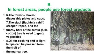 Siadi Ropes Forest Society and Colonialism: Impact of Deforestation and Forestry ...