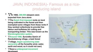 Java 1890 Forest Society and Colonialism: Impact of Deforestation and Forestry ...