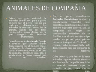  Por    su    parte,     consideramos
 Existe   una gran variedad de                Animales Domésticos, también y
  animales domésticos, pese a que el
  primero fue el perro. Hoy en día             popularmente conocidos como
  podemos       diferenciarlas,   los          mascotas, a aquellos animales que el
  animales de compañía como los de             hombre elige para convivir. Son las
  granjas, siendo los dos tipos                compañías      del      hogar,   son
  considerados como dentro de la
  gran    categoría    de    Animales          considerados miembros de las
              Domésticos.                      familias, mas allá del tamaño o tipo,
                                               pueden ser perros, gatos, pájaros,
  Consideramos Animales de Granja              roedores, tortugas, etc. Teniendo en
  a aquellos que también fueron
  domesticados por el hombre con el            común el echo mismo de haber sido
  fin absoluto de obtener un beneficio         domesticados para ser compañía de
  como: alimentarse, como en el caso           los                         hombres.
  de la gallina, el pato, la vaca, etc.; o
  ayudarse con su fuerza como el caso
  de             los            caballos.      Cabe destacar, que dentro de estos
                                               animales, algunos además de servir
                                               a la función de compañía, son útiles
                                               en caso de personas ciegas por
                                               ejemplo, ya que vemos muchos
                                               perros                        guía.
 