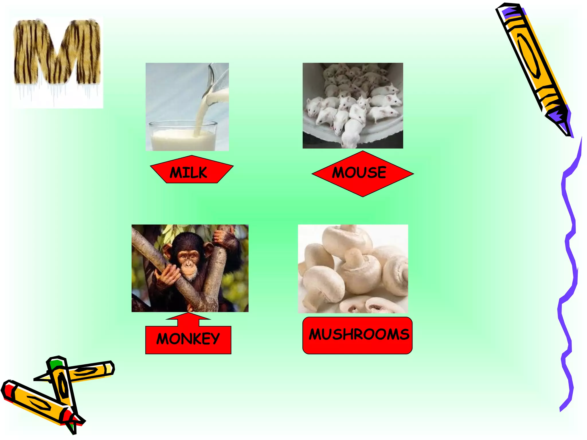 MILK MOUSE MONKEY MUSHROOMS