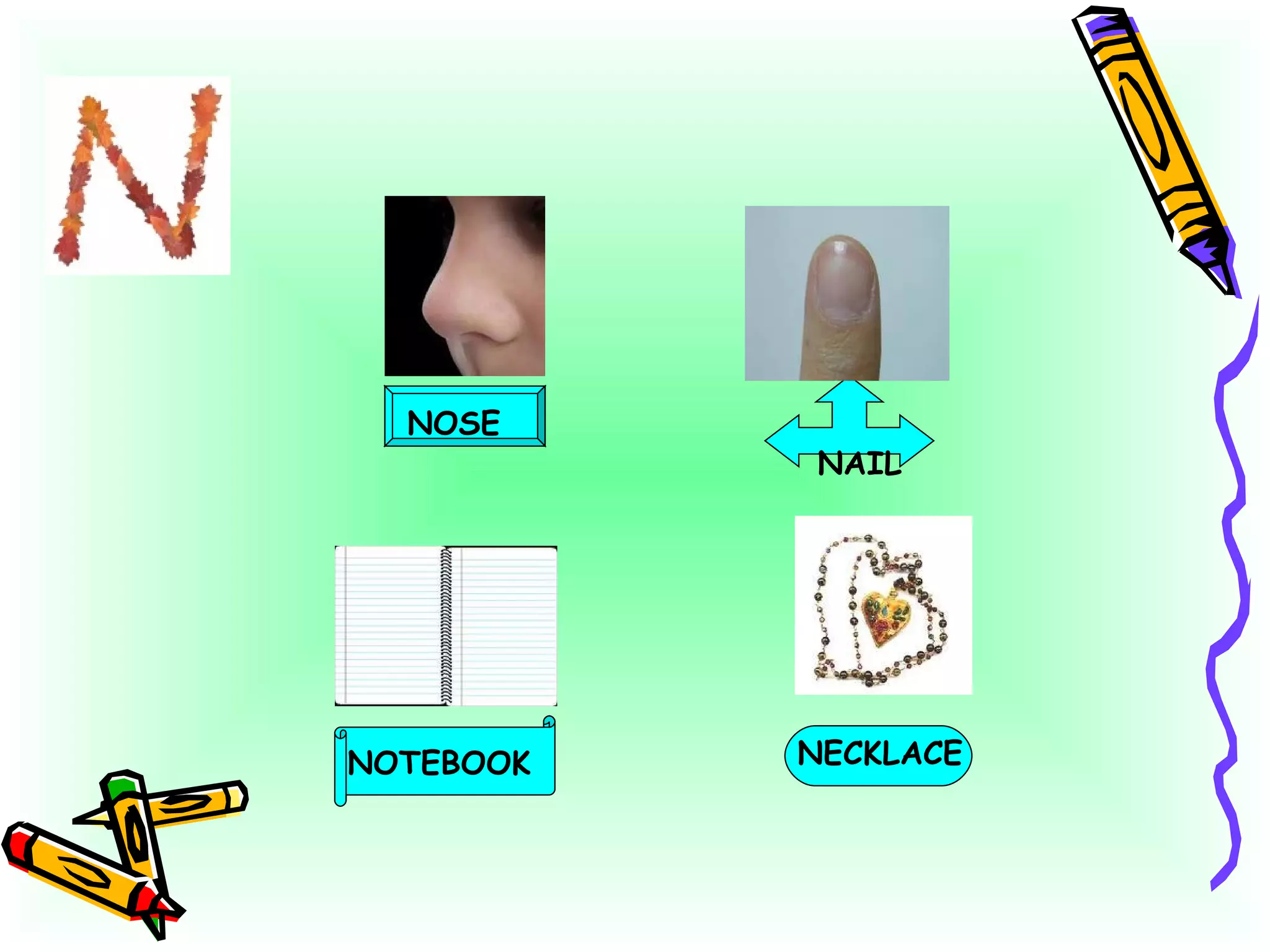 NOSE NAIL NOTEBOOK NECKLACE