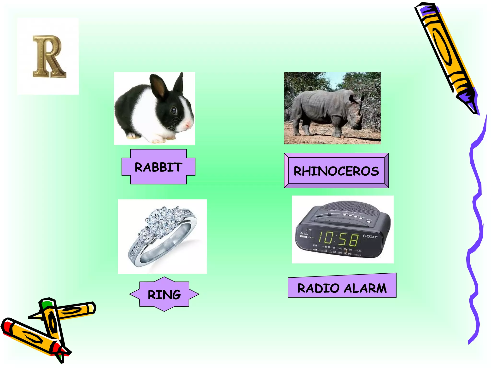 RABBIT RHINOCEROS RING RADIO ALARM
