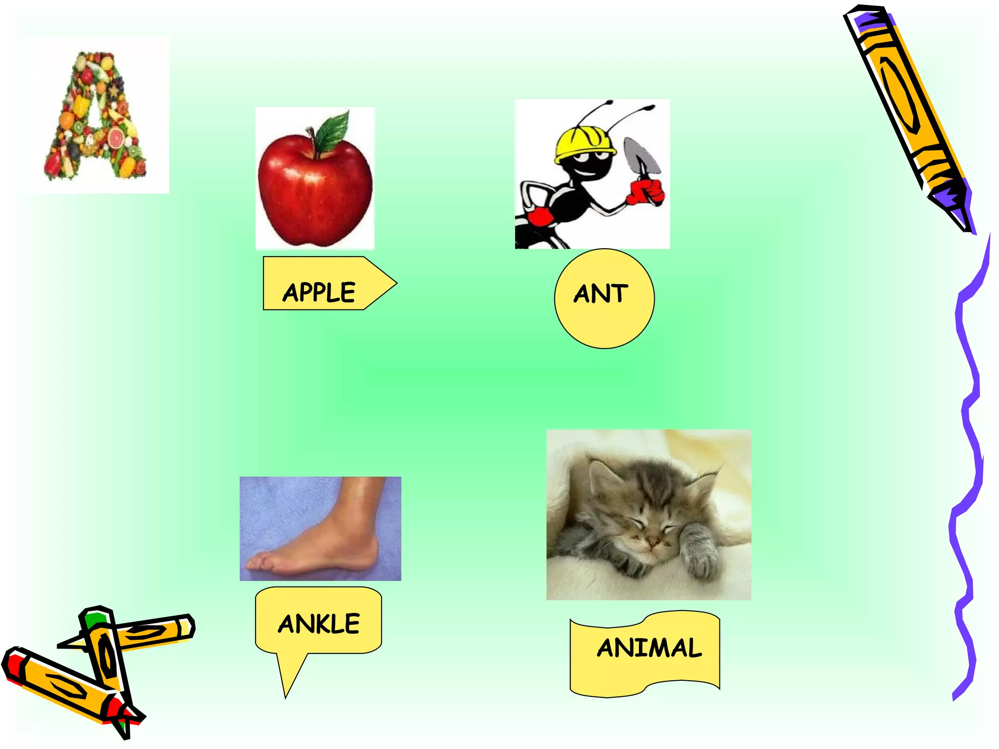 APPLE ANT ANCLE ANIMAL APPLE ANT ANKLE