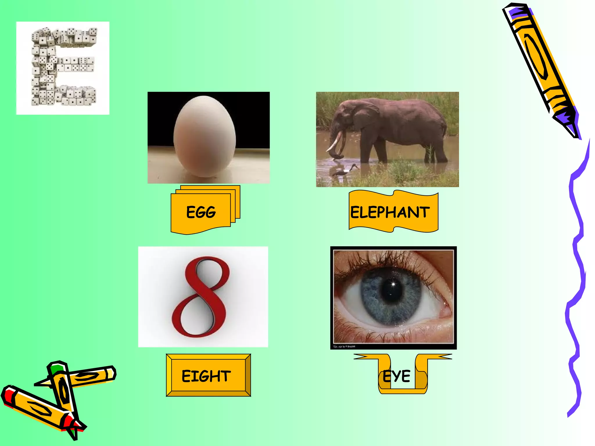 EGG ELEPHANT EIGHT EYE