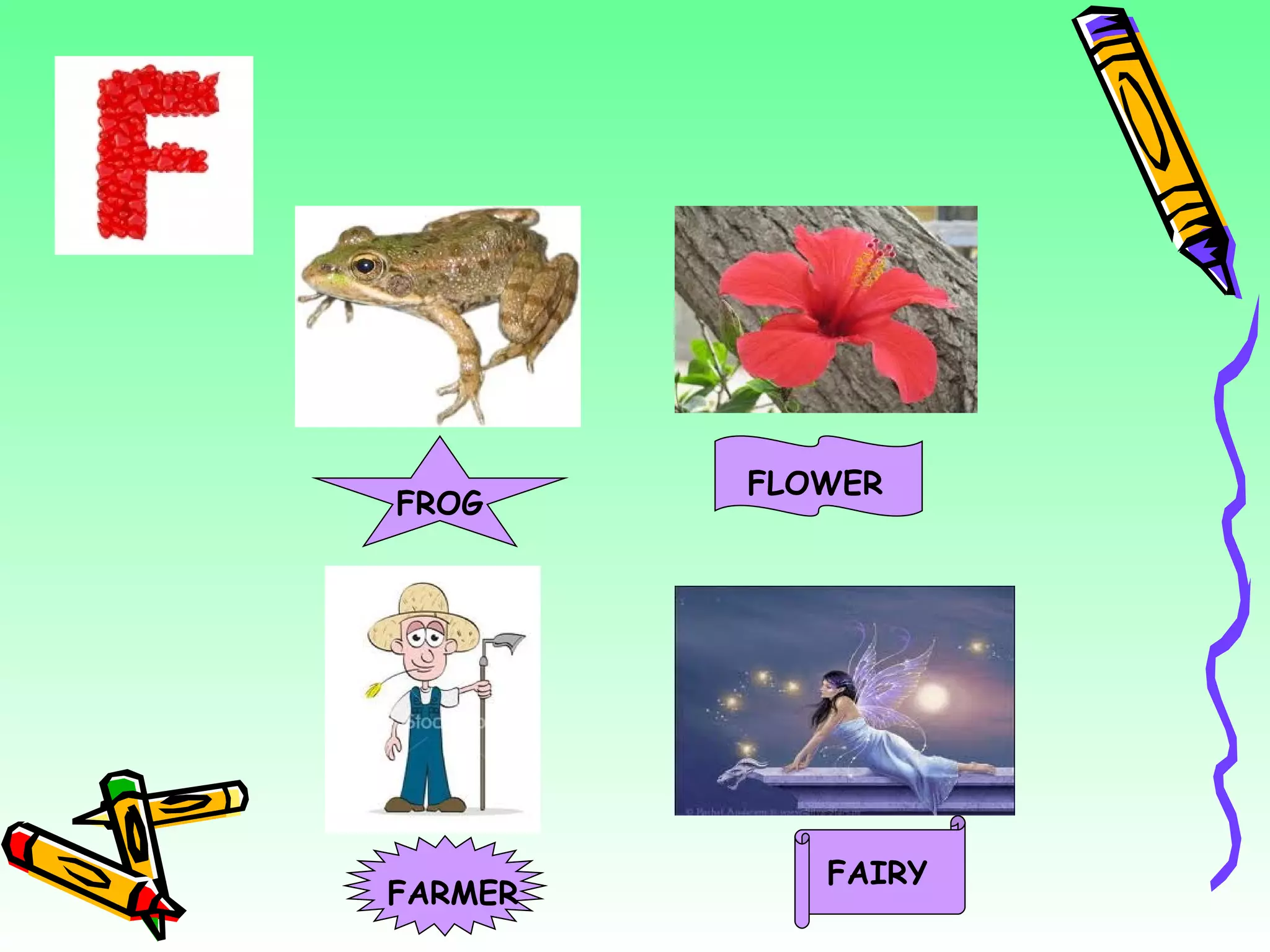 FROG FLOWER FARMER FAIRY